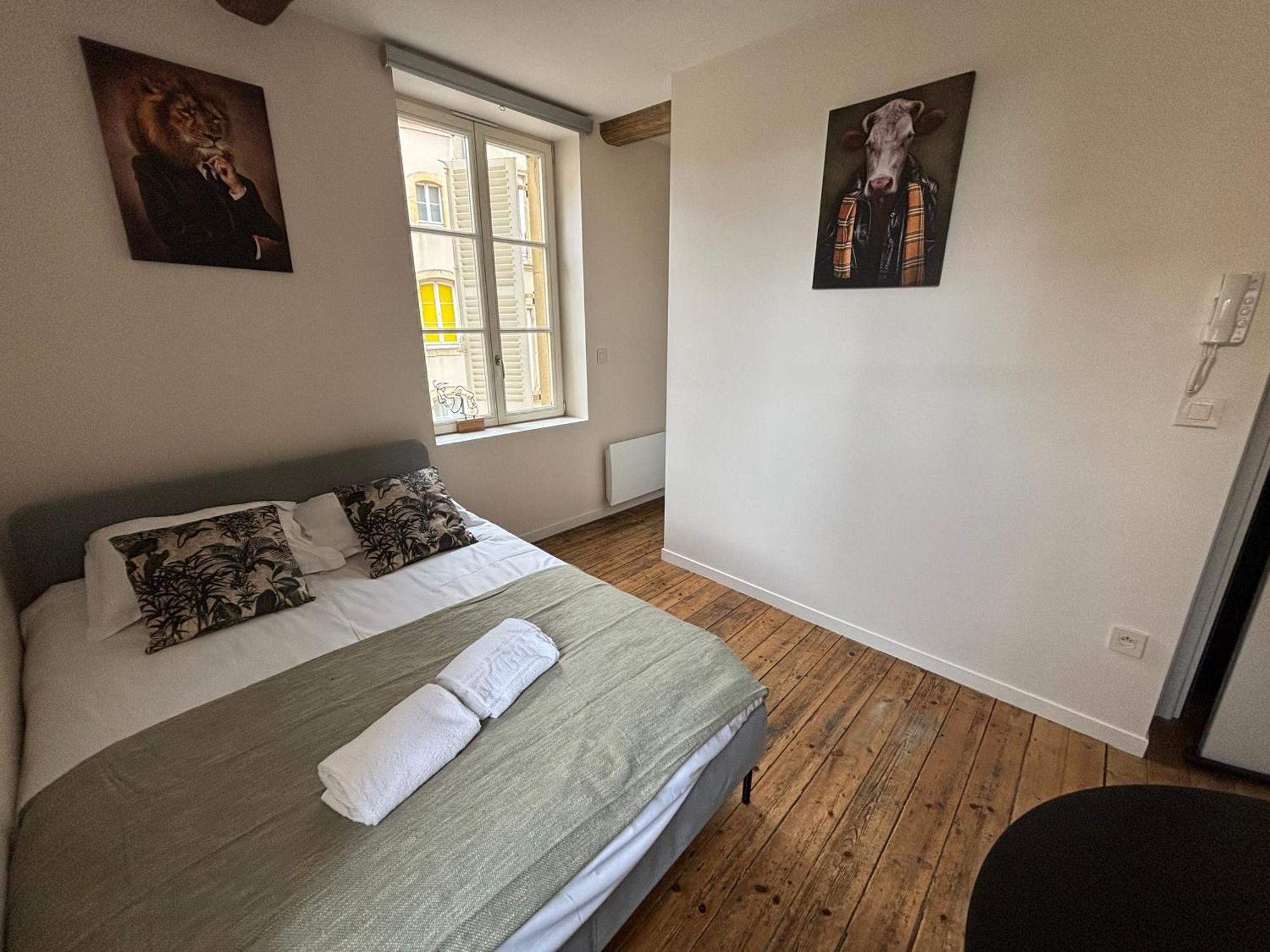 Louis Premier Et Second Metz Centre Un Sejour A Part Apartment Exterior photo